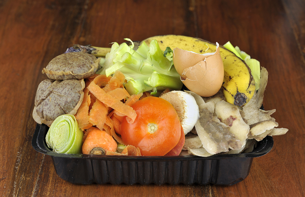 Food scraps in a kitchen