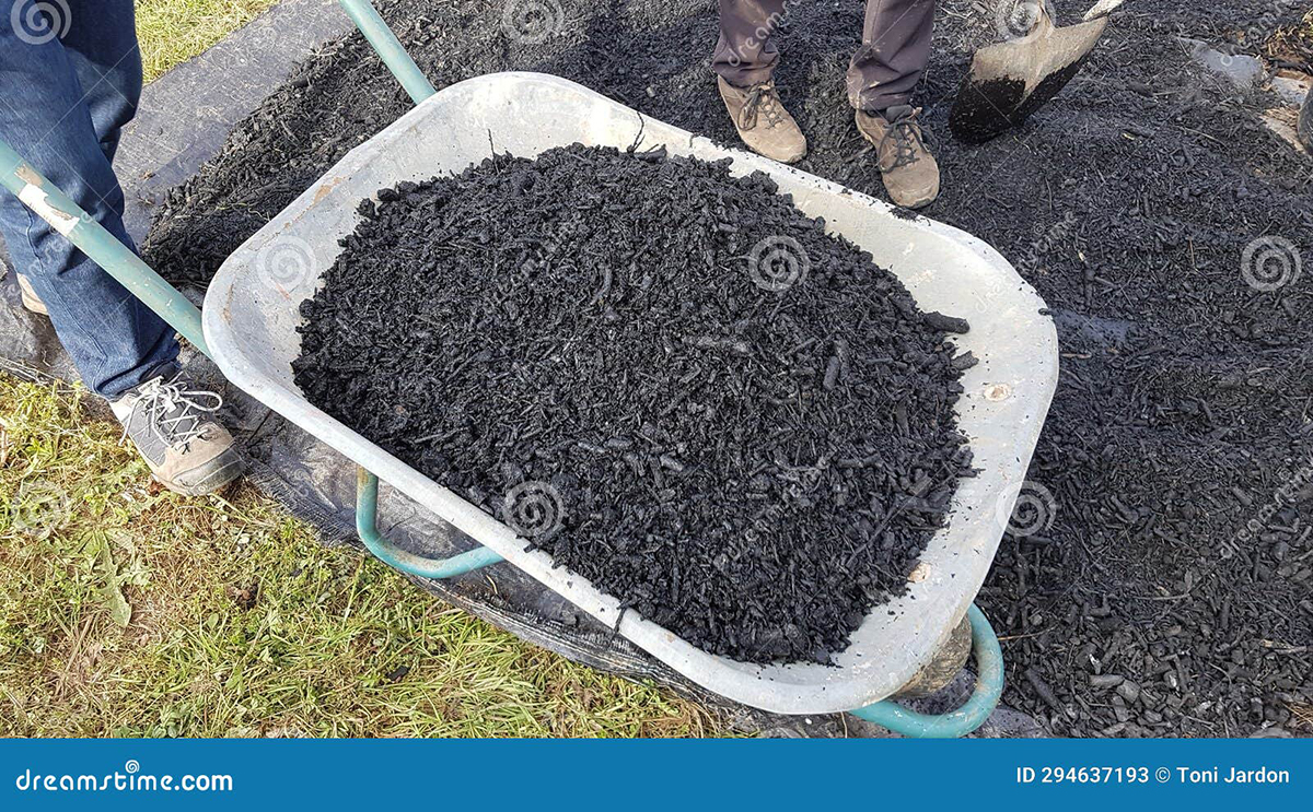 Biochar in a wheelbarrow. 