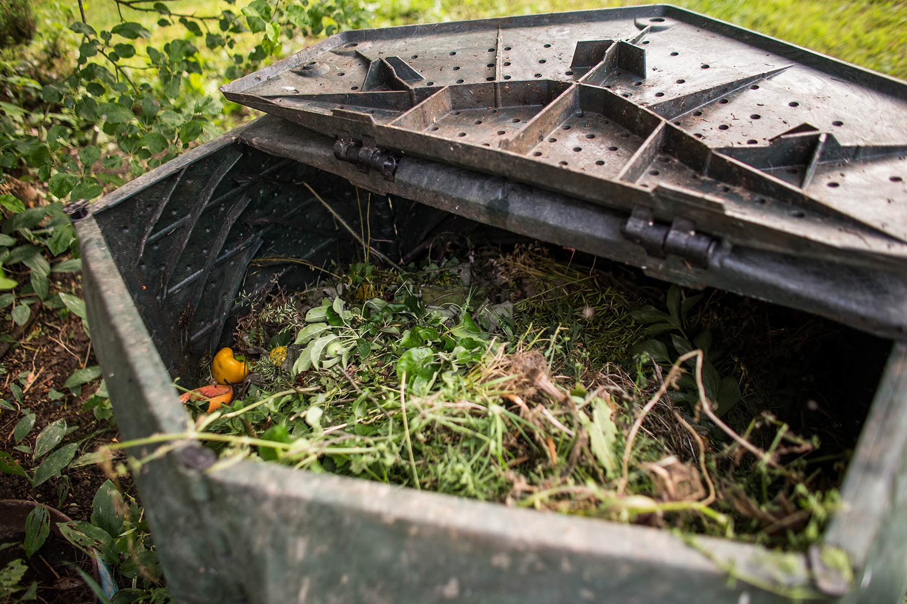 A large compost bin
