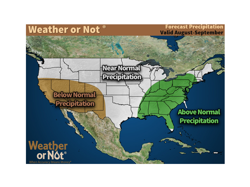 August-September Weather or Not Precipitation