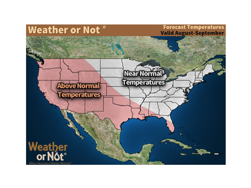 August-September Weather or Not Precipitation
