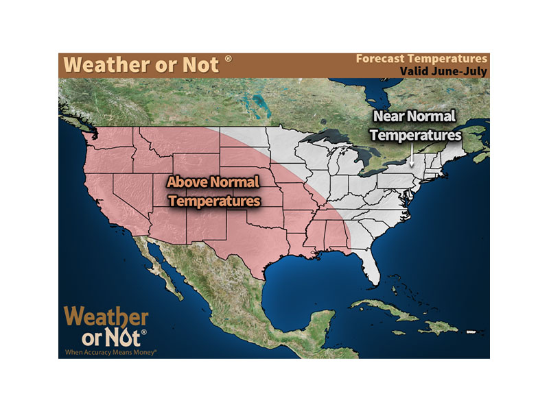 June-July Weather or Not Precipitation