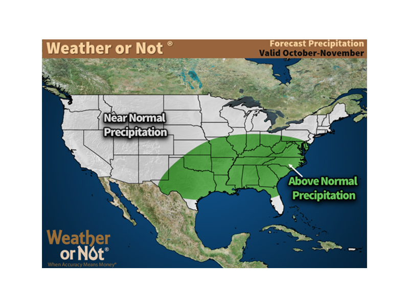 October-November Weather or Not Precipitation