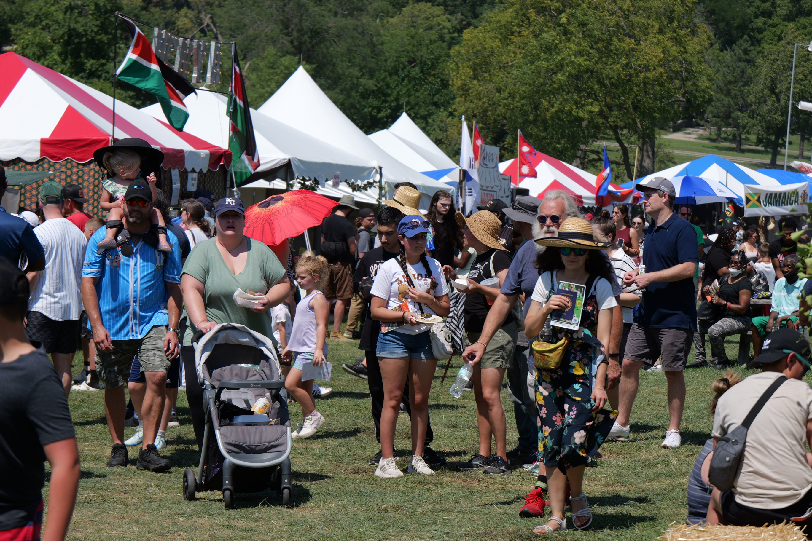 Crowd at Ethnic Enrichment Festival 2025