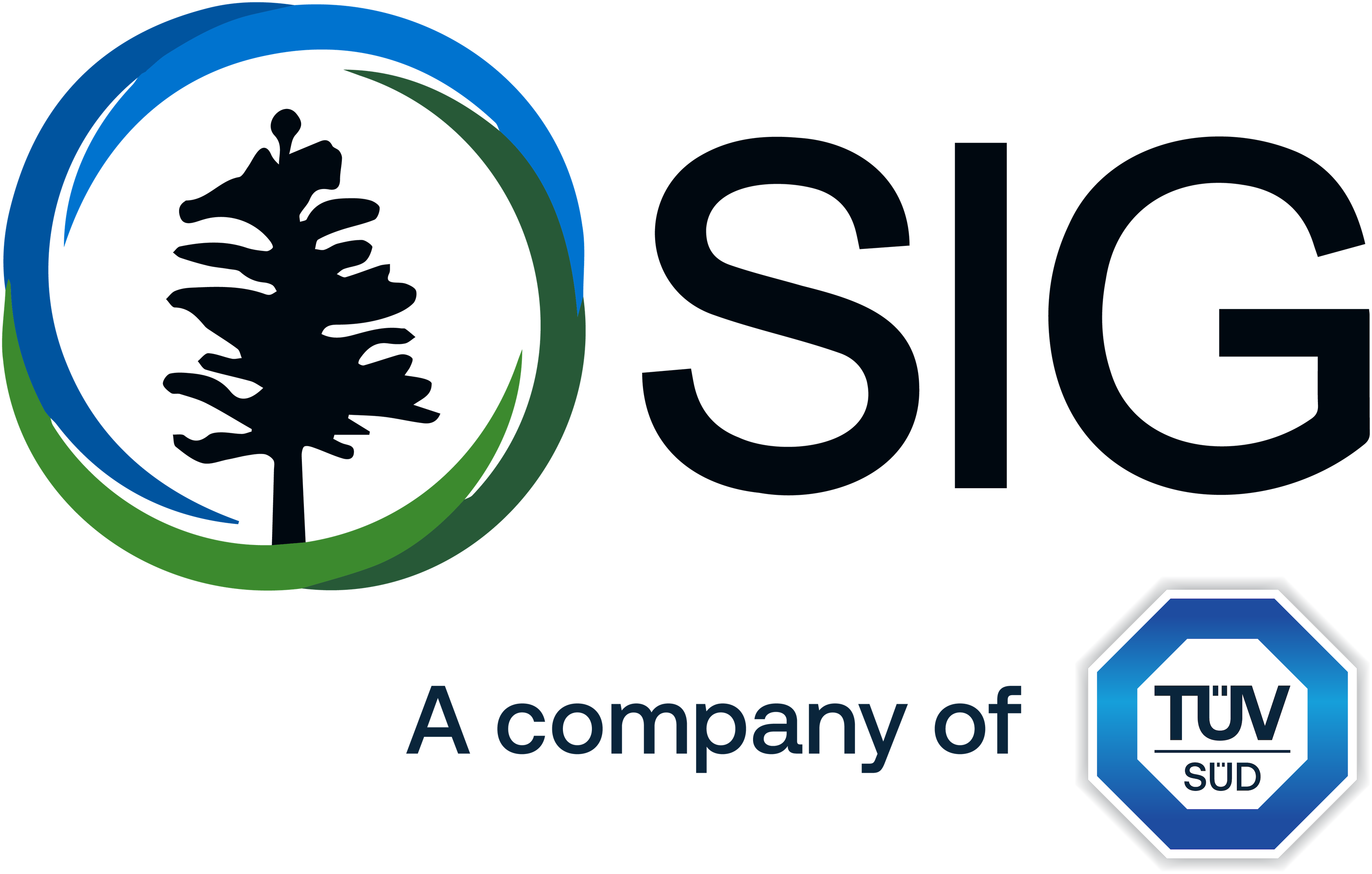 Sustainable Investment Group logo