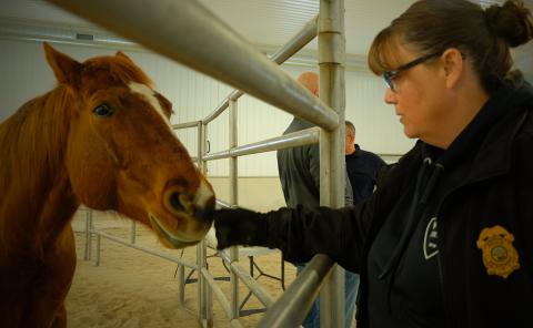 Peer Support program participant with a horse