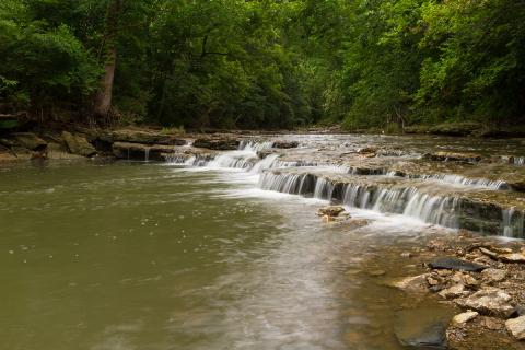 Small waterfall surrounded by trees