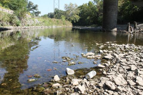 Creek bank with litter