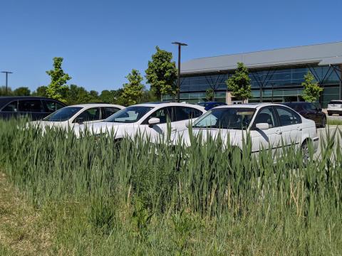 Green Infrastructure Project at the Shawnee Mission School District