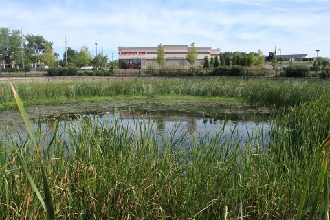 Bioretention Pond near Vivion and North Oak