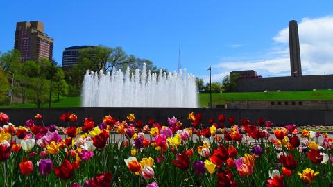 Bloch fountain surrounded by colorful tulips