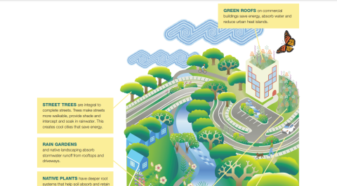 Excerpt from cross section diagram of green infrastructure's benefits to the larger built environment