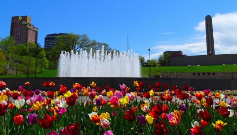 Tulips bloom near the fountain outside Union Station.