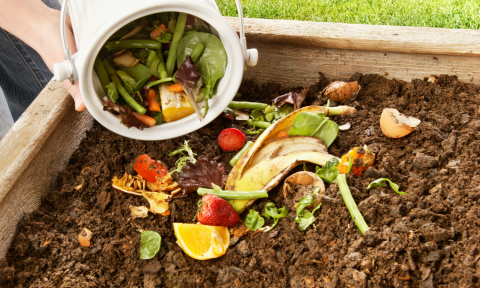 A bucket emptying food scrap contents into compost layer within raised container