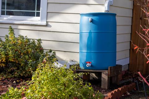 A blue rain barrel on a pedestal outside a home. 