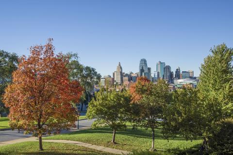 Early autumn leaves beginning to change in the foreground, downtown Kansas City in the distance