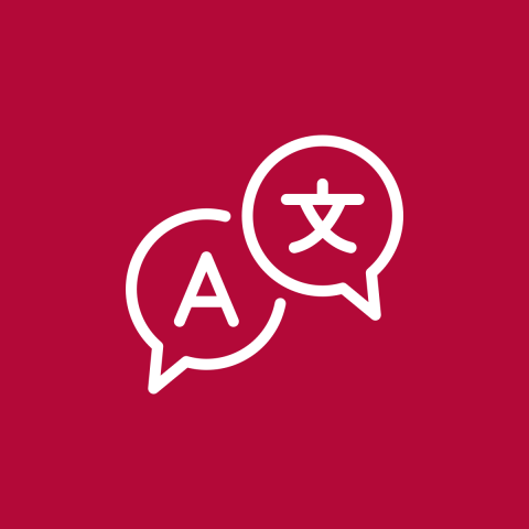 Icon of speech in two languages