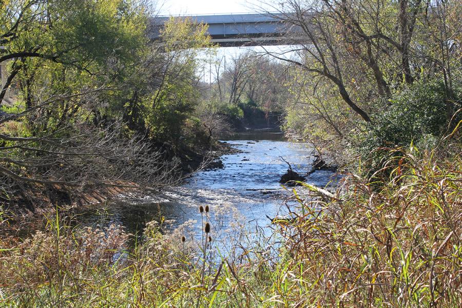 Creek and road overpass