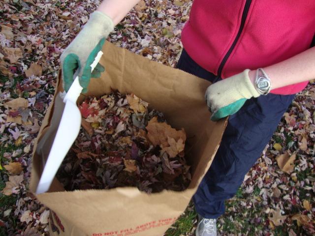 leaves in compost bags